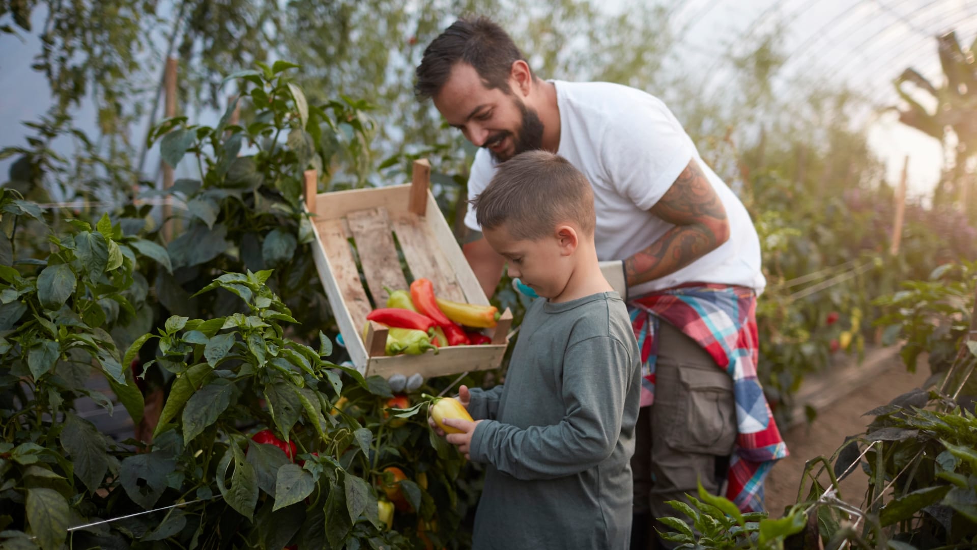 Why Farmhouse Living is Good for Family Health in Islamabad