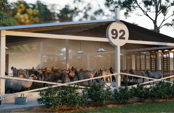 Fresh Dairy Services at 92 Farms - Organic Milk Islamabad