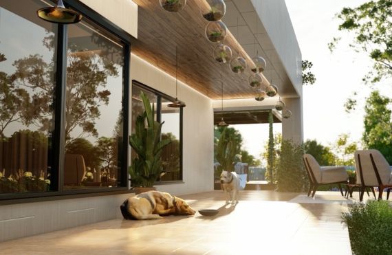 Pet Care Services at 92 Farms - Pet Friendly Farmhouse Islamabad